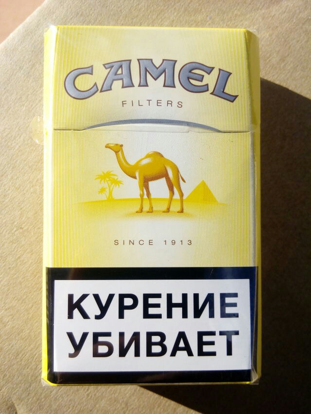 Кэмл компакт. Сигареты Camel Yellow 1913. Сигареты кэмел оригинал желтый (Camel Original Filters). Camel Yellow сигареты. Camel сигареты желтые.